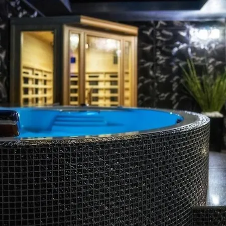 Luxury Villa, Pool, Sauna, Jacuzzi 別荘 ノヴィ・タルク